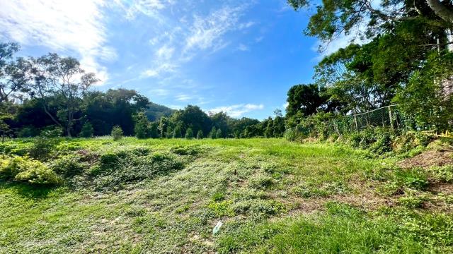 新竹竹東農地-2