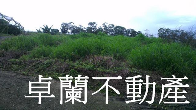 苗栗卓蘭農地-5