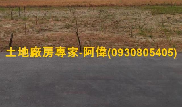 高雄仁武農地-1