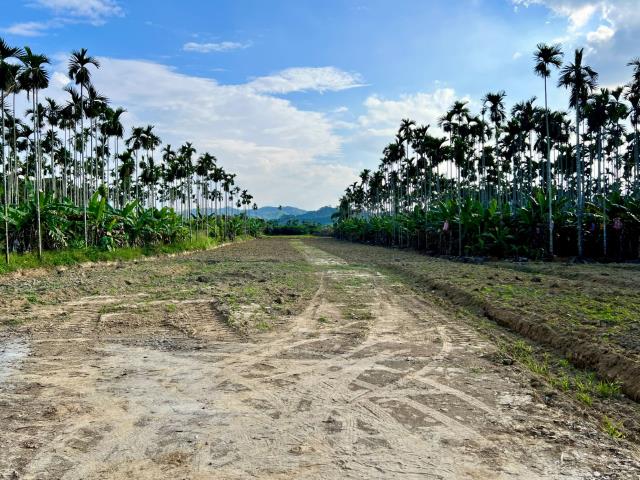 南投中寮農地-1