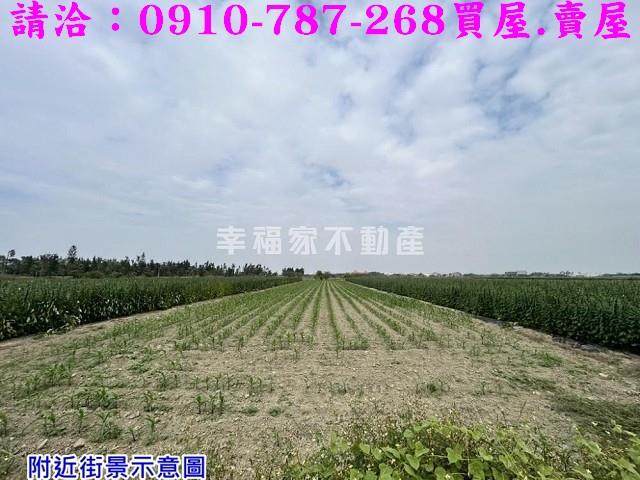 台南農地-7