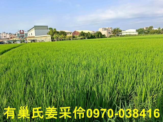 嘉義西區農地-6