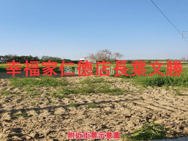 台南善化農地-2