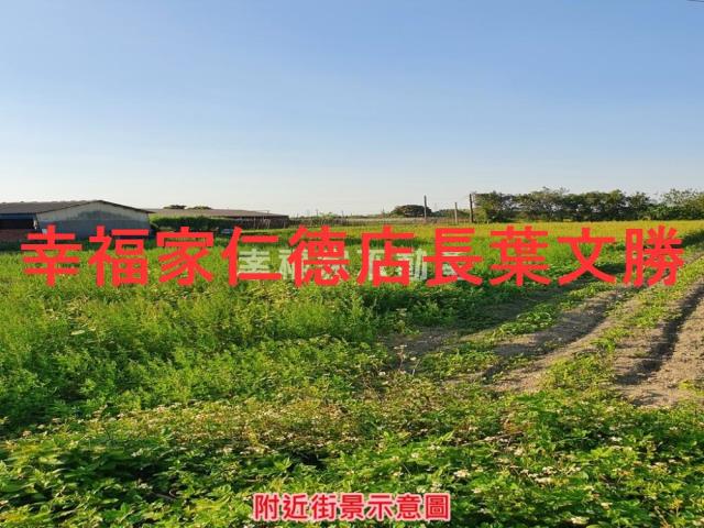 台南善化農地-8