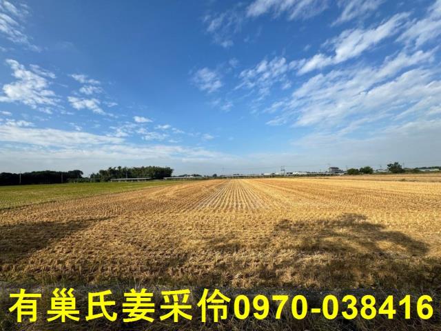 嘉義大林農地-10