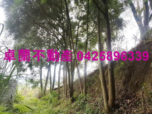 苗栗卓蘭農地-4