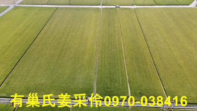 嘉義溪口農地-11