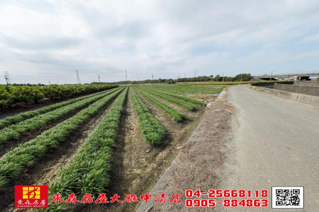 溪州農地-6
