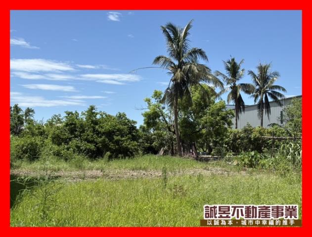 台南安南農地-11