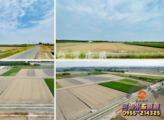 嘉義水上農地-7