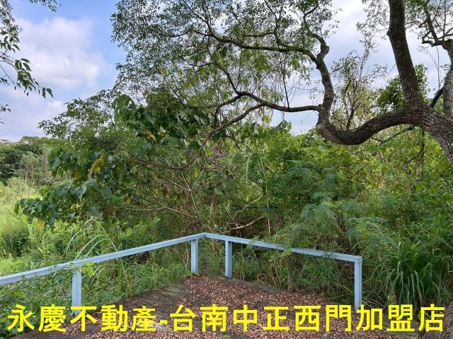 台南楠西農地-1