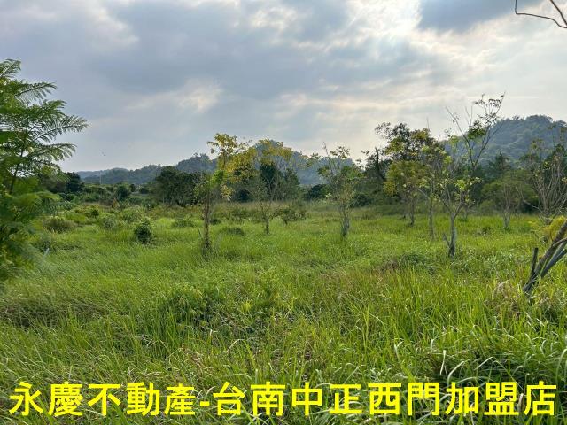 台南楠西農地-2