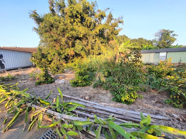 台南佳里農地-4