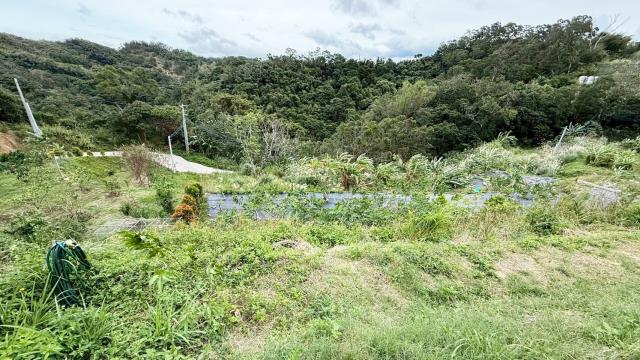 新竹寶山農地-7