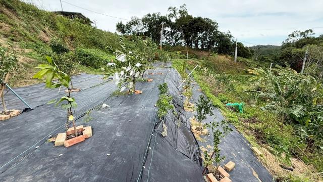 新竹寶山農地-9