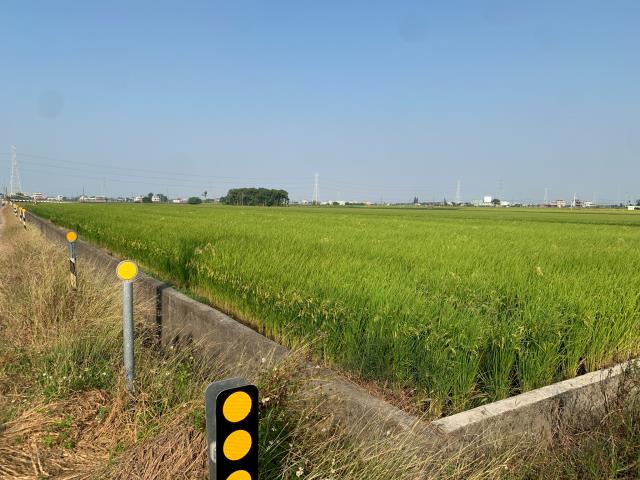 嘉義農地-10