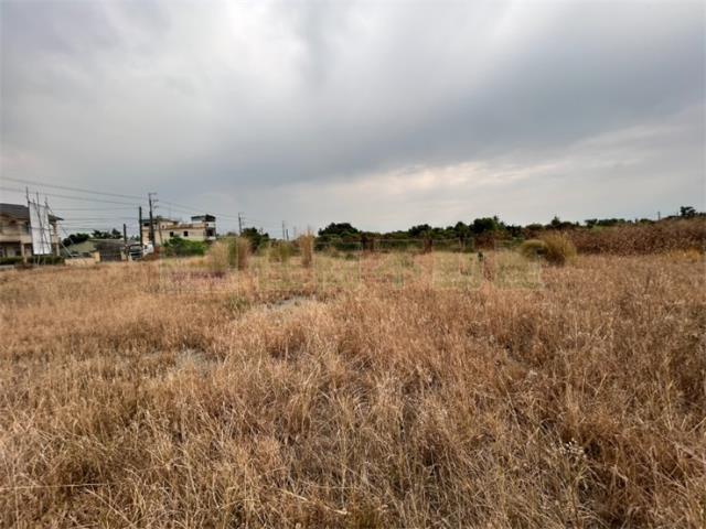 屏東里港農地-6