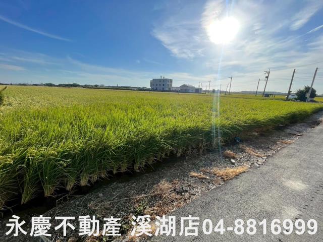 彰化二林農地-3