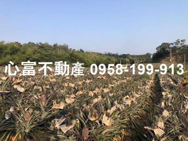 高雄鳥松農地-1