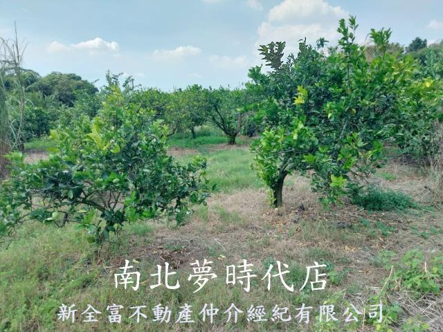 台南農地-8