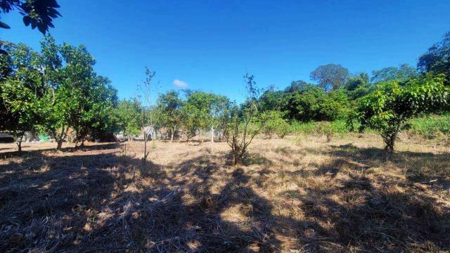 新竹橫山農地-1