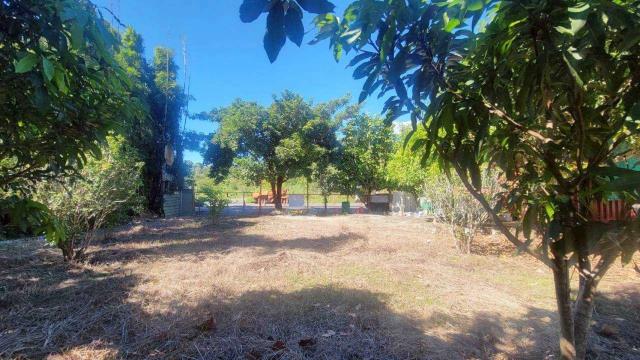 新竹橫山農地-4