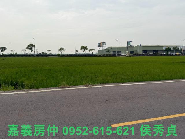 嘉義西區農地-1