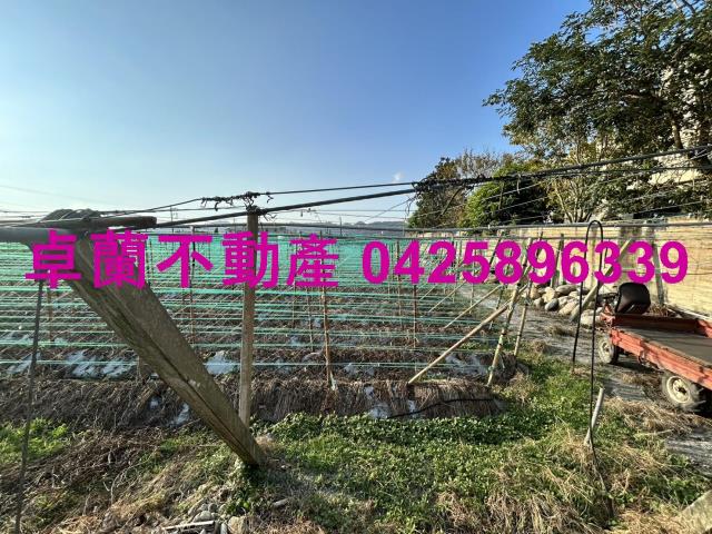 卓蘭農地-9