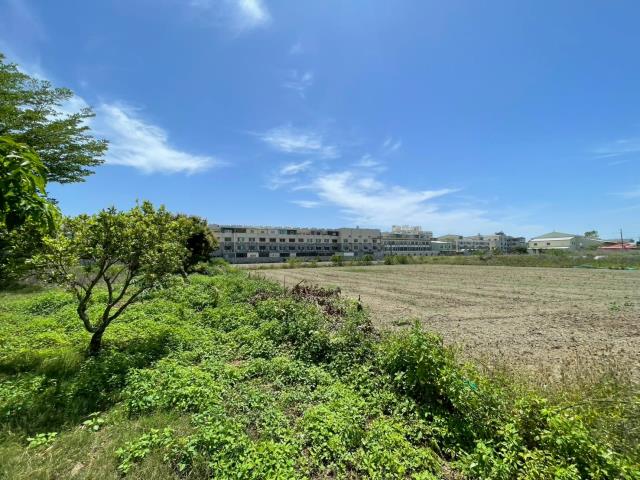 安南農地-5