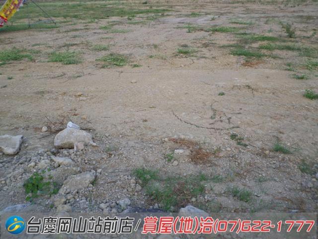 高雄路竹農地-11