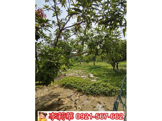 高雄岡山農地-10