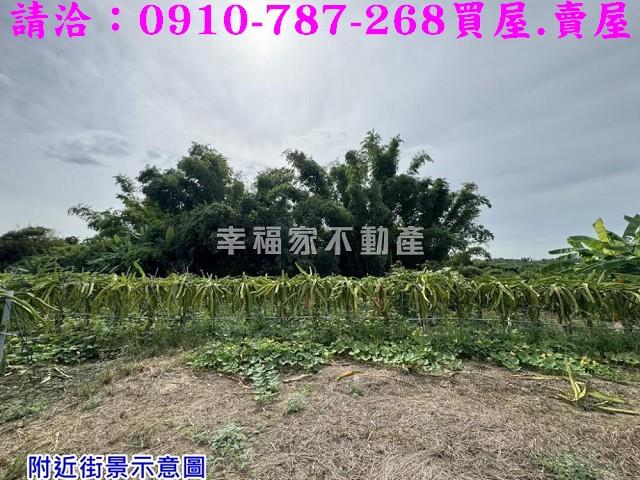 台南農地-6