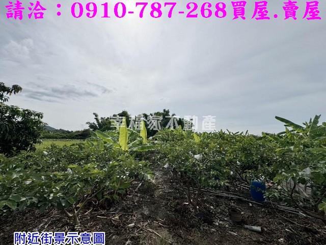 台南農地-7