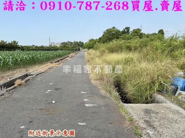 台南新市農地-6