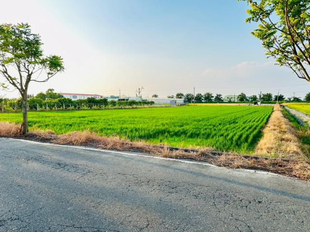 嘉義農地-3