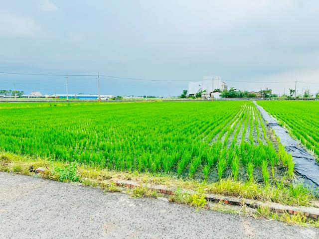 嘉義農地-5