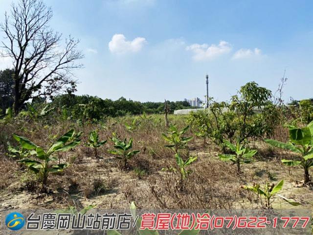 高雄阿蓮農地-10