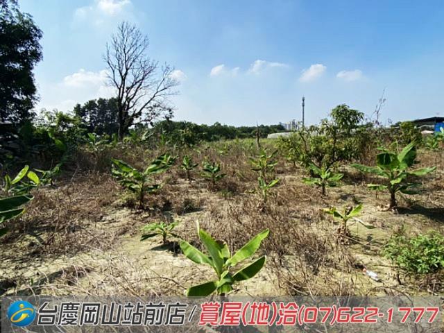 高雄阿蓮農地-7