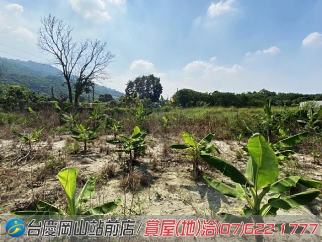 高雄阿蓮農地-8