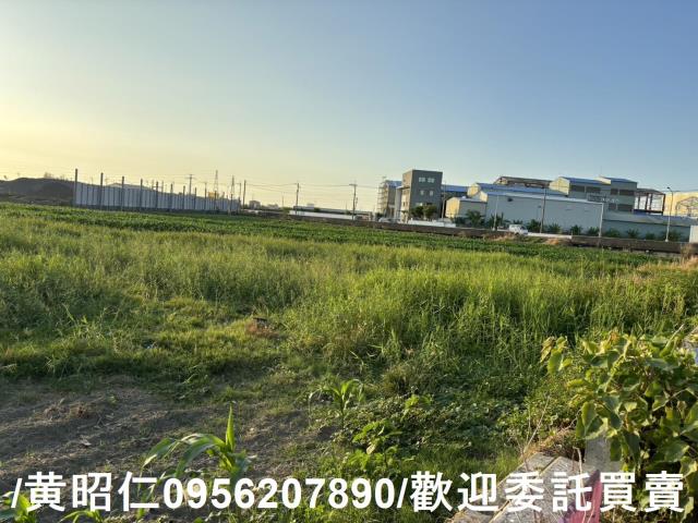 台南農地-4