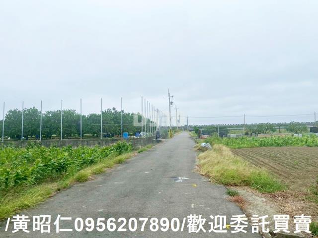 台南農地-11