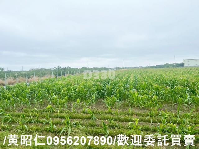 台南農地-7