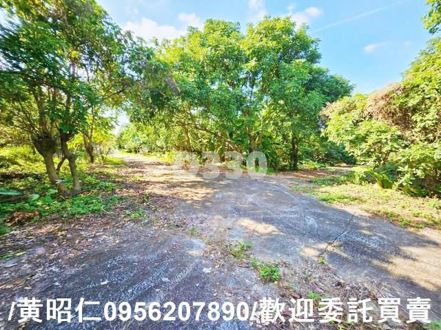 台南農地-6