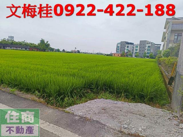 宜蘭壯圍農地-5