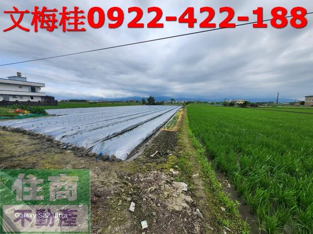 宜蘭壯圍農地-2