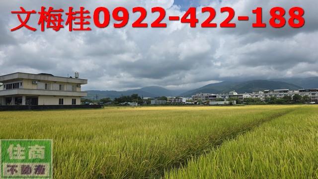 宜蘭宜蘭市農地-7