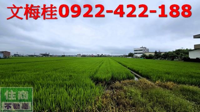 宜蘭宜蘭市農地-2