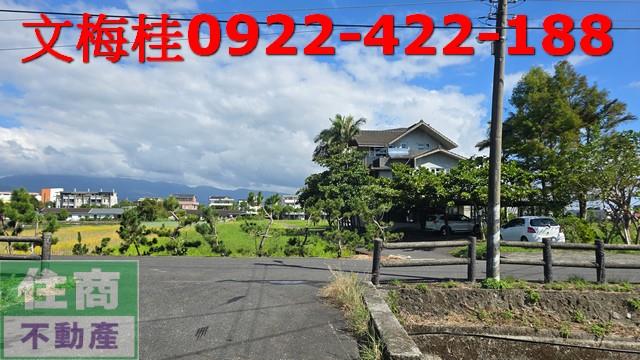 宜蘭宜蘭市農地-7