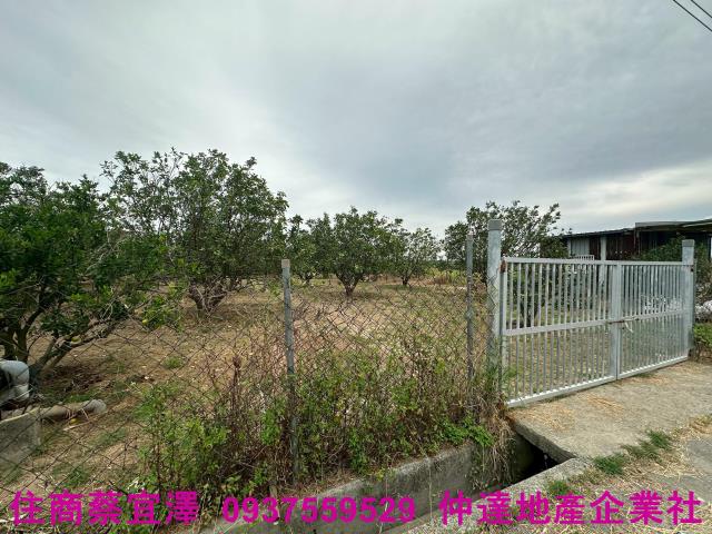 台南麻豆農地-3