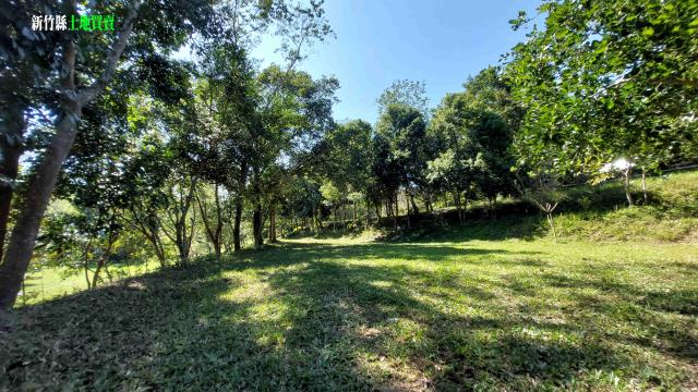 新竹關西農地-10